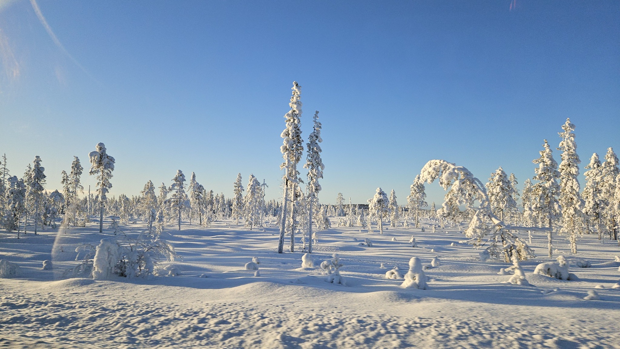 Lapland